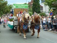 Kunigundenfestzug2016_33
