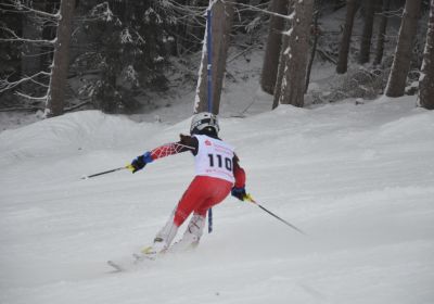 Nordbayerische Meisterschaft 2013