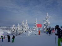 Skifahrt II Wagrain 2017_46