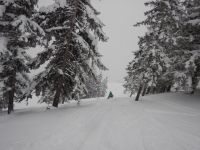 Skifahrt III - Kurswochenende Wildschönau 2017_28