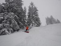 Skifahrt III - Kurswochenende Wildschönau 2017_30