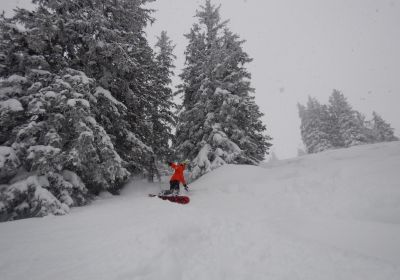 Skifahrt III - Kurswochenende Wildschönau 2017