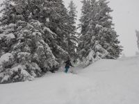 Skifahrt III - Kurswochenende Wildschönau 2017_31