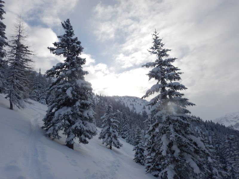 Skifahrt III - Kurswochenende Wildschönau 2017_69