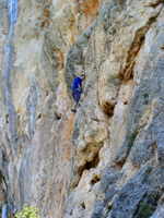 Richard Guttmann im Vorstieg - Sa Gubia